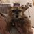 Cindy Hodges's profile image