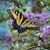 Sandra Red Gregory's profile image