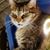 Barbara Cruz's profile image
