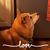 Karen Groth's profile image