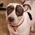 Tina Staples's profile image