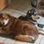 Laurie W. Meredith's profile image