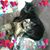Leslie Agostino's profile image