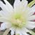 Jodie Troutman Wean's profile image