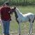 Joshua Wilcox's profile image