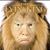Lin Barber's profile image