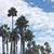 Hali Maples's profile image