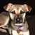 Donna Jones's profile image