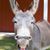 Laura Mason's profile image