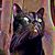 Vicky Ceccato Denison's profile image