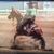 Kerry Cogburn's profile image
