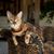 Lisa Hinson's profile image