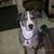 Patricia Wegmann's profile image