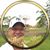 Jeff Liccion's profile image