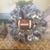 Debbie Dowell's profile image