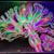 Betsy Blackhawk's profile image
