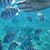 Pamela Hall Richards's profile image