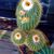 Jonathan Foster's profile image