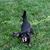 Gidget Ware's profile image