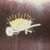 Bill Barrow's profile image