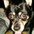 Lisa Miarer's profile image