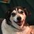 Jill Fischer Lightle's profile image