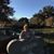 Thea Pacheco's profile image