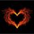 Linda Palmer's profile image