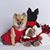 Lin McCraw's profile image