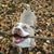 Julie Walters's profile image
