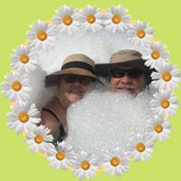 Lynne Gregory Webb's profile image