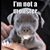 Eugene Tapley's profile image