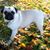 Cindy Benfanti's profile image