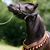 Veronica Ventress-Cook's profile image
