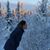 Lynnelle Anderson DeCicco's profile image