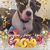 Cindy Slater Radko's profile image