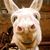 Jeff Jordan's profile image