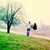 Shiva Bajaj's profile image