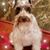 Pam Kubicek's profile image