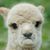 Jason Garwacki's profile image