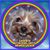 Julie Sayre-Gilbert's profile image