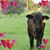 Tanya Wilkins's profile image