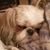 Helen Bowers Standefer's profile image