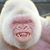 David Timmons's profile image