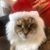 Tanya Holterman's profile image