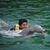 Harsh Shah's profile image