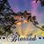 Myra Lunsford's profile image