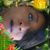 Gwendolyn Drayton's profile image