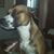 Gary Perdue's profile image