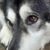 Keith Bilicki's profile image